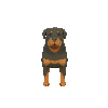 Mô Hình 3D Rottweiler Phong Cách Low Poly - Thumbnail 2
