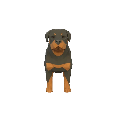 Mô Hình 3D Rottweiler Phong Cách Low Poly