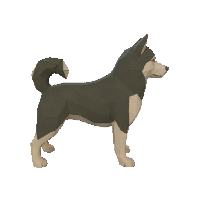 Mô hình 3D Husky Siberia Phong cách Low Poly