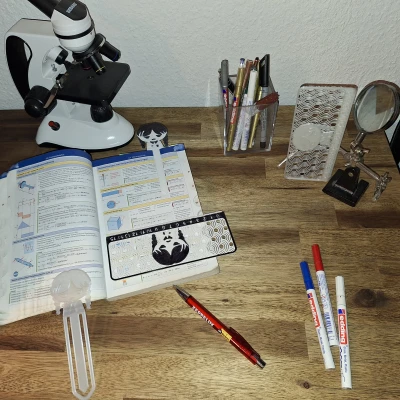 Nam Châm Hình Wednesday