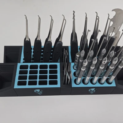 Bộ Tổ Chức Locksport Mô-đun - v5.1 (nay là 2D)