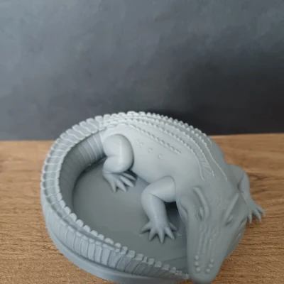 Mô hình Cá Sấu / Cá Sấu