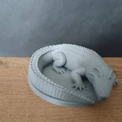 Mô hình Cá Sấu / Cá Sấu