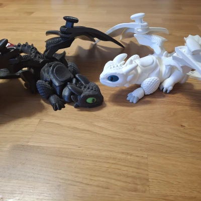 Toothless' girlfriend - Rồng trắng