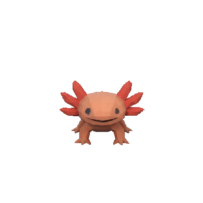 Kỳ nhông Axolotl Low Poly