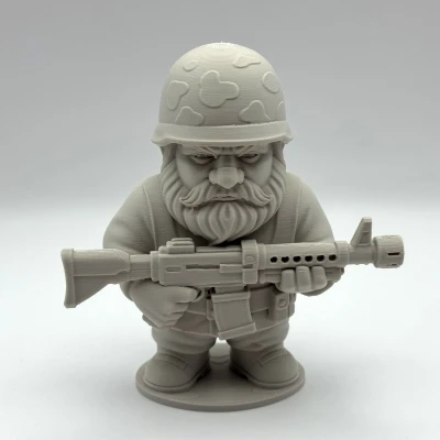 Chú Lùn Vệ Binh Quân Đội