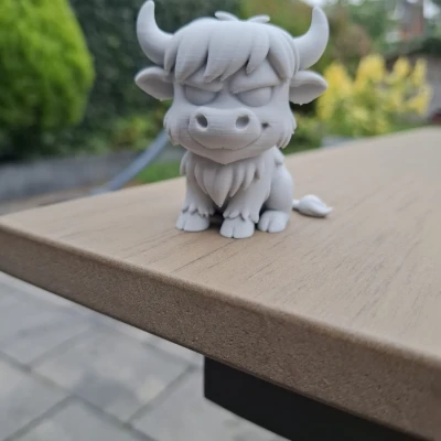 Bò Cao Nguyên Mặt Khó Tính