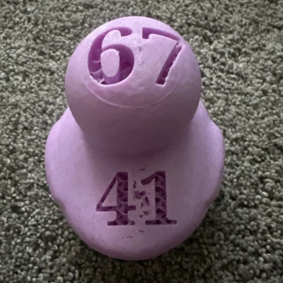 Vịt 67 và Vịt 41