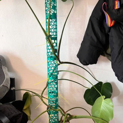 Trụ Moss Cho Monstera