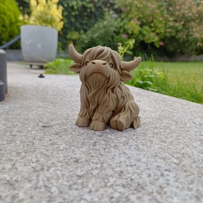 Bò Cao Nguyên Mập Ú – Cưng Xỉu Sừng To