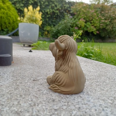 Bò Cao Nguyên Mập Ú – Cưng Xỉu Sừng To