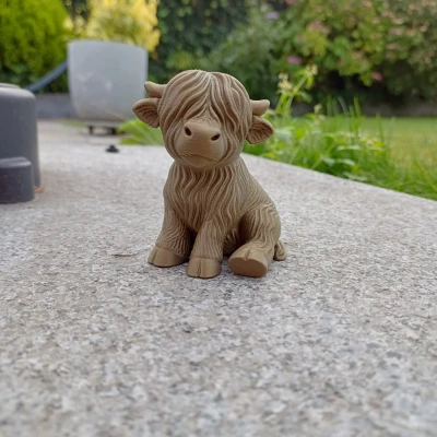 Bê Bò Cao Nguyên Dễ Thương