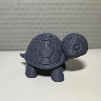 Rùa Con / Động Vật Hình Rùa Dễ Thương