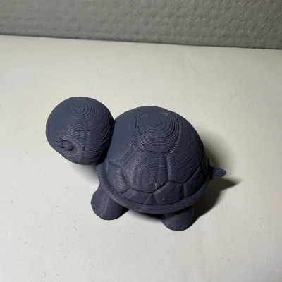 Rùa Con / Động Vật Hình Rùa Dễ Thương