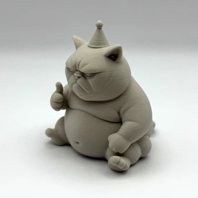 Mèo Con Sinh Nhật Khó Ở