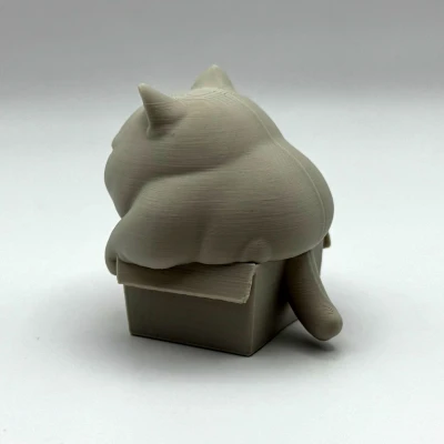 Mèo Ú Trong Hộp Chật Chội