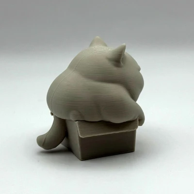 Mèo Ú Trong Hộp Chật Chội