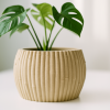 Chậu Tre - Phong Cách Botanic - Trang Trí Nhà Cửa - Thumbnail 1