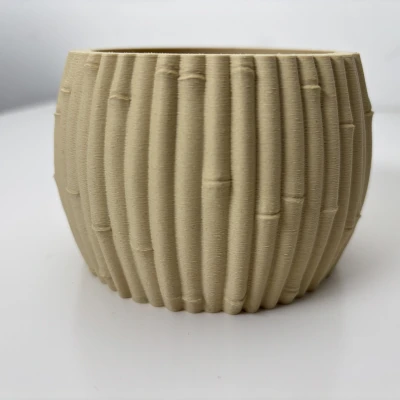 Chậu Tre - Phong Cách Botanic - Trang Trí Nhà Cửa