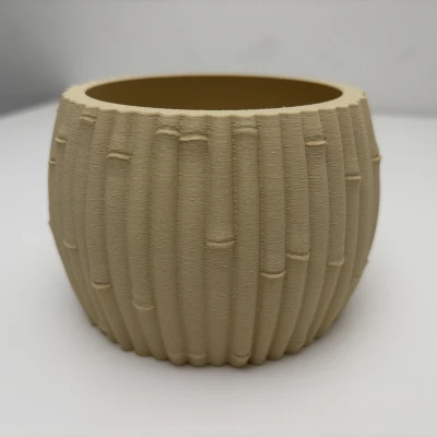 Chậu Tre - Phong Cách Botanic - Trang Trí Nhà Cửa