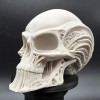 Đầu Người Ngoài Hành Tinh Bộ Xương - Thumbnail 1