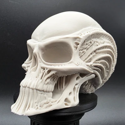 Đầu Người Ngoài Hành Tinh Bộ Xương