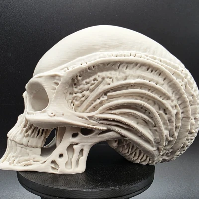 Đầu Người Ngoài Hành Tinh Bộ Xương