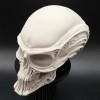 Đầu Người Ngoài Hành Tinh Bộ Xương - Thumbnail 3