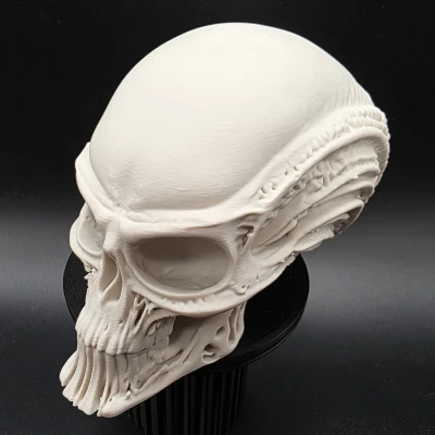 Đầu Người Ngoài Hành Tinh Bộ Xương