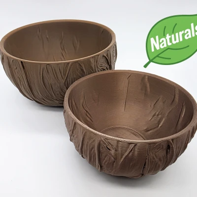 Tô Dừa - Bộ Sưu Tập Tự Nhiên (Đáy Phẳng)