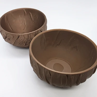 Tô Dừa - Bộ Sưu Tập Tự Nhiên (Đáy Phẳng)