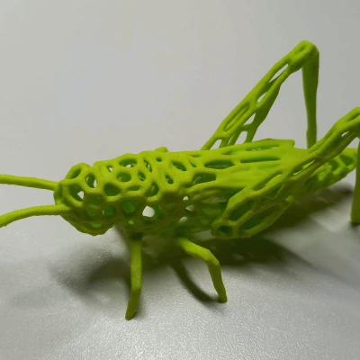 Rapper / Dế Mèn Phong Cách Voronoi