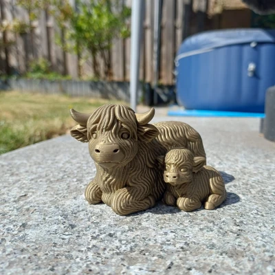 Bò Mẹ Cao Nguyên Cùng Bê Con