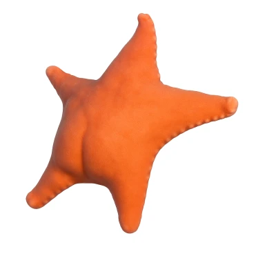 Mô Hình Sao Biển "Estrella de mar culona" Độc Đáo