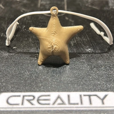 Móc Khóa Sao Biển "Argentina Hông" (Estrella de mar culona argentina llavero)