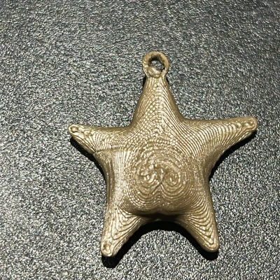 Móc Khóa Sao Biển "Argentina Hông" (Estrella de mar culona argentina llavero)