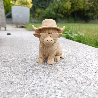 Summer Cow — Chú Bò Cao Nguyên Đi Nghỉ Mát