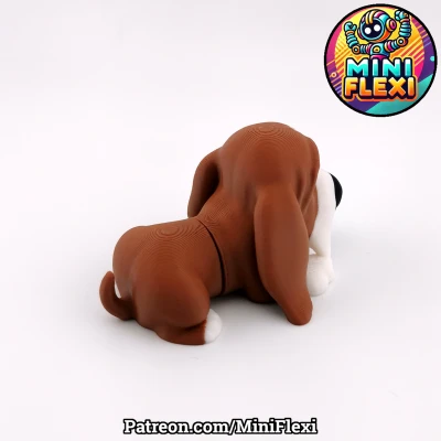 Mini Flexi Basset - Mô Hình Khớp Nối Không Cần Hỗ Trợ