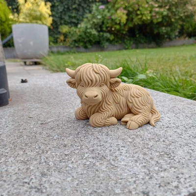 Bò Cao Nguyên – Tư Thế Thư Giãn