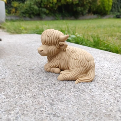 Bò Cao Nguyên – Tư Thế Thư Giãn