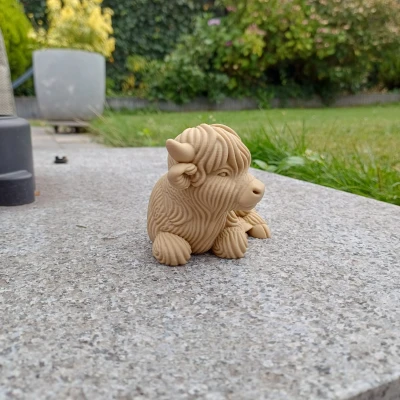 Bò Cao Nguyên – Tư Thế Thư Giãn