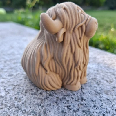 Bò Highland Mập Mạp – Người Bạn Đồng Hành Ngồi Bên Bàn Làm Việc