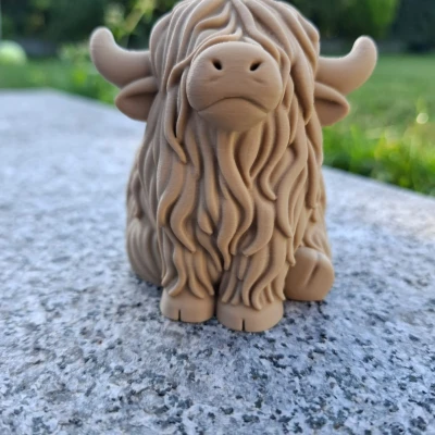 Bò Highland Mập Mạp – Người Bạn Đồng Hành Ngồi Bên Bàn Làm Việc