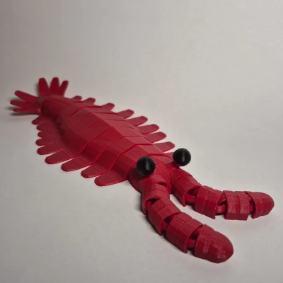 Mô hình Anomalocaris In Liền