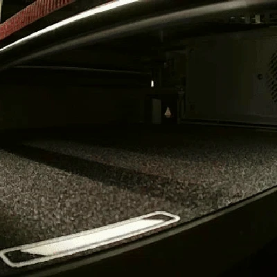 Mô hình Anomalocaris In Liền