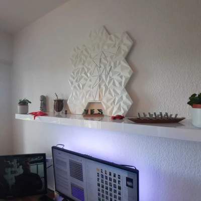 Tấm Ốp Tường Lục Giác Hexagon