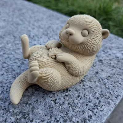 Rái Cá Biển Ôm Vỏ Sò