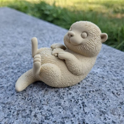 Rái Cá Biển Ôm Vỏ Sò