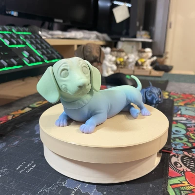 Chó Bò Lủng Lẳng Cartoon – Tư Thế Nằm