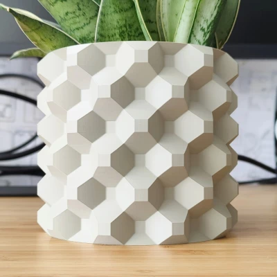 Chậu Cây Dứa Hiện Đại - Thiết Kế Vase Mode